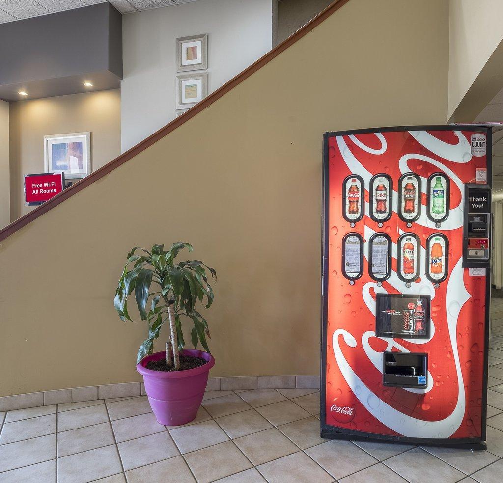 Red Roof Inn & Suites Cleveland - Elyria Kültér fotó